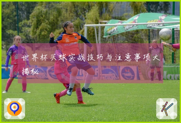 世界杯买球实战技巧与注意事项大揭秘