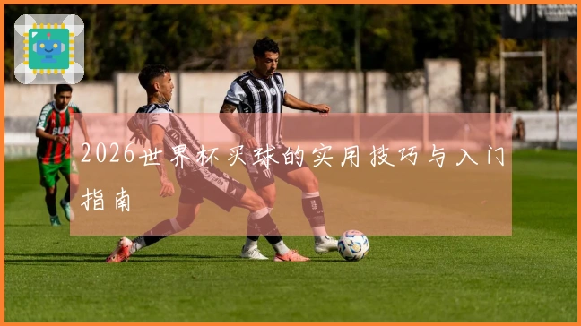 2026世界杯买球的实用技巧与入门指南