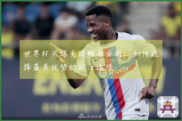 世界杯买球竞猜赔率分析：如何选择最具优势的投注选项