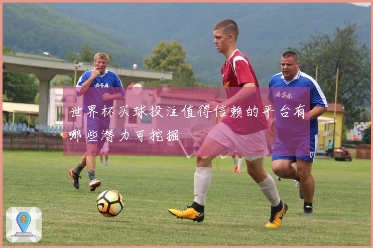 世界杯买球投注值得信赖的平台有哪些潜力可挖掘