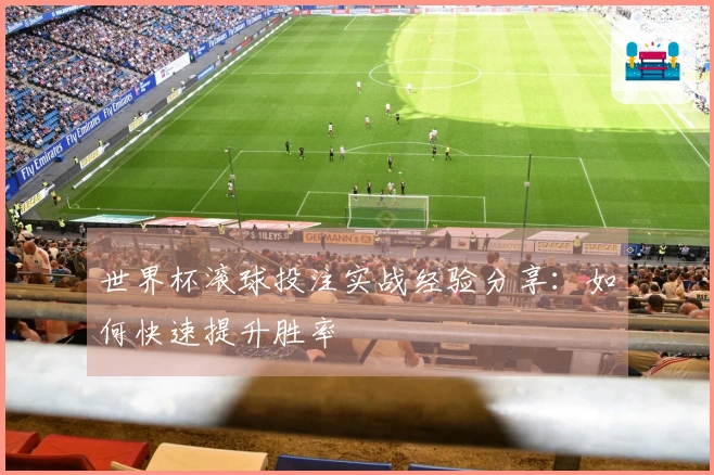 世界杯滚球投注实战经验分享：如何快速提升胜率