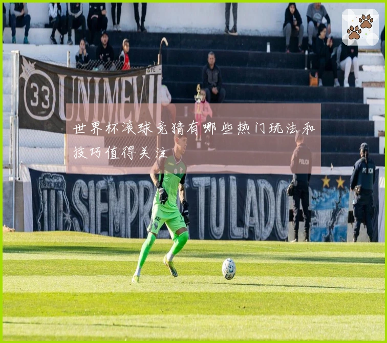 世界杯滚球竞猜有哪些热门玩法和技巧值得关注