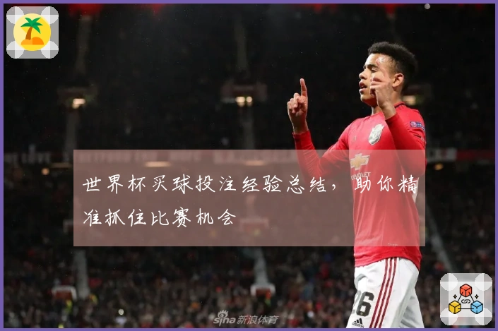 世界杯买球投注经验总结，助你精准抓住比赛机会