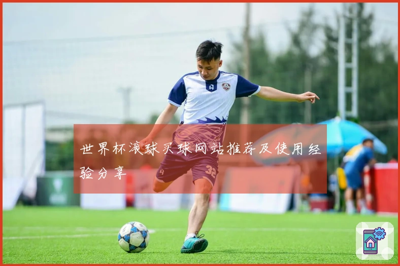 世界杯滚球买球网站推荐及使用经验分享