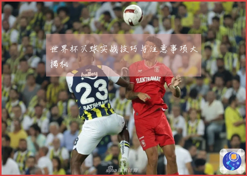 世界杯买球实战技巧与注意事项大揭秘