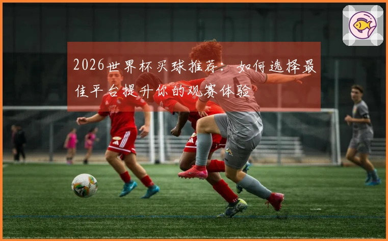 2026世界杯买球推荐：如何选择最佳平台提升你的观赛体验