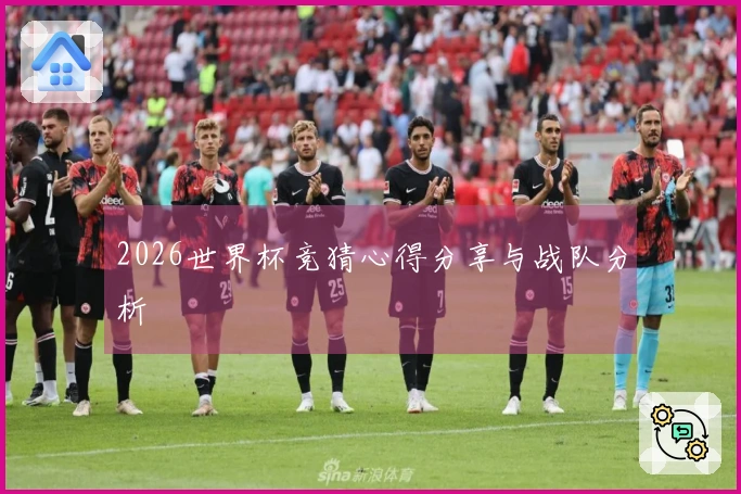 2026世界杯竞猜心得分享与战队分析