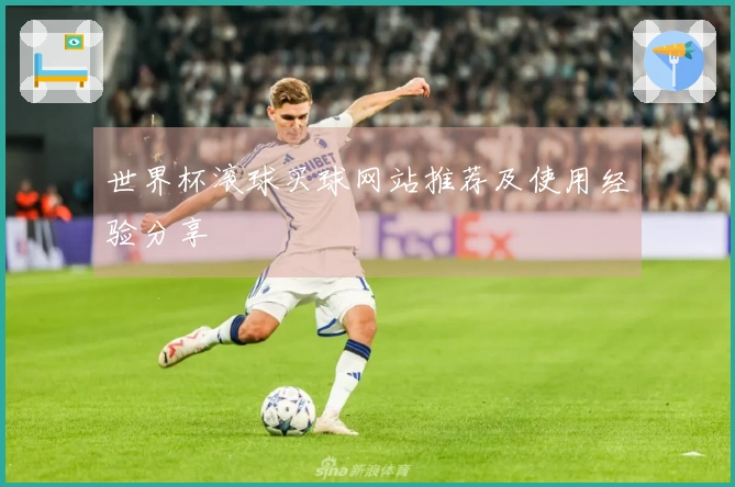 世界杯滚球买球网站推荐及使用经验分享